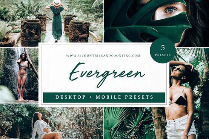 Evergreen Lightroom Presets For Desktop & Mobile