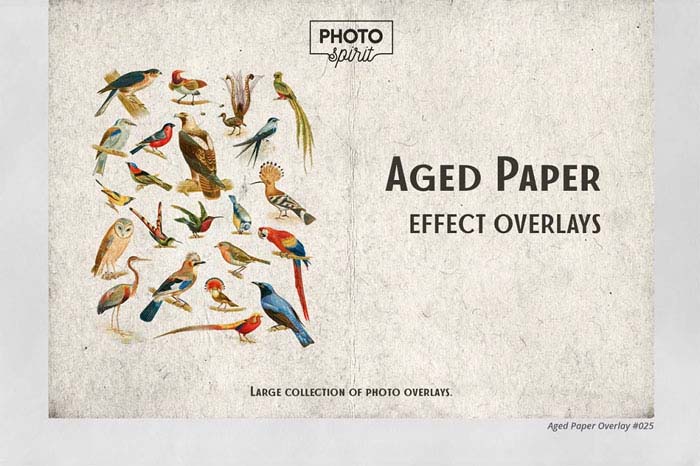 Aged Paper Effect Overlays