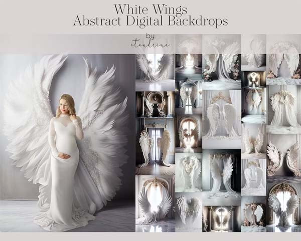 White Wing Abstract Digital Backdrops